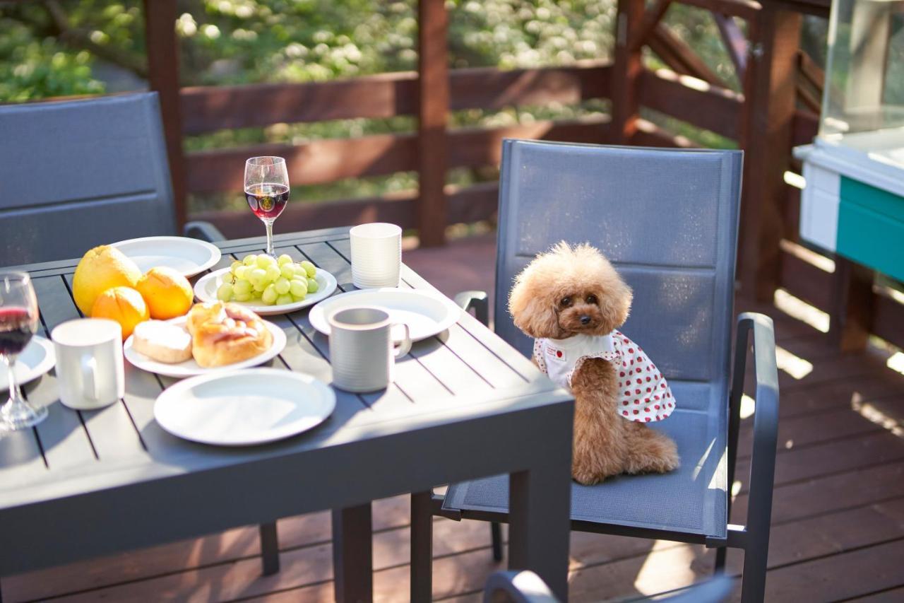 Suite Villa Nasukogen Doggy'S Ohana Eksteriør billede